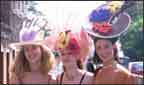 Ascot hats