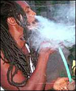 Rasta man smoking ganja