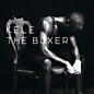 Review of The Boxer