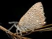 Copyright: Miroslaw Swietek/Solent