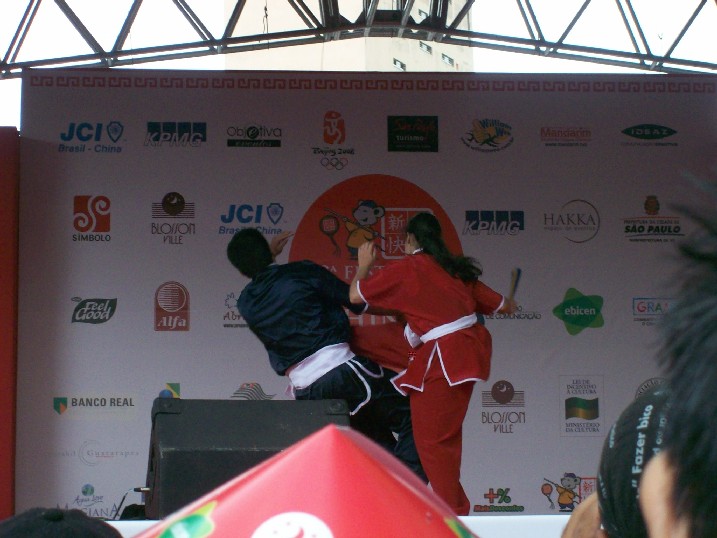 kung fu presentation