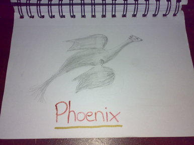 Phoenix