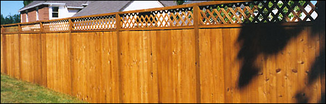 Garden fence