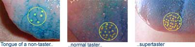Tongues of different taster types