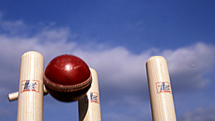 Cricket stumps