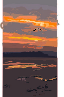 Sunset in brixham,Devon