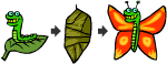 Metamorphosis of a caterpillar 
