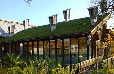 The Cue Building, Horniman Museum, at night