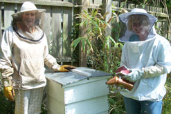 Martha has a lesson in bee keeping