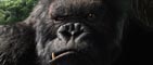 King Kong