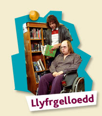 llyfrgelloedd