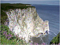 Bempton Cliffs