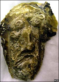 Ostra