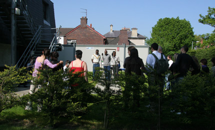 The garden view.