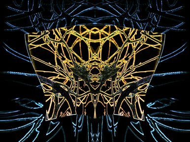 What do you see? I see a dead bird, but I know what it was.