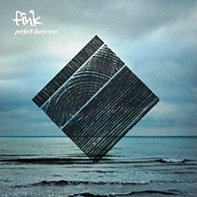 Review of Perfect Darkness