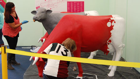 Gwartheg Cyngor Celfyddydau Cymru