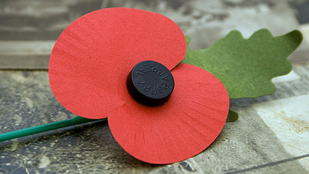 A Remembrance Day poppy