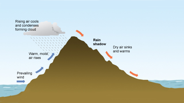 Diagram showing warm, moist air is shown moving from the west and rising as it meets mountains. This forms clouds and causes rain. The air falls and warms on the east side of the mountains resulting in clearer skies and less rain