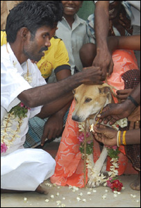 शादी