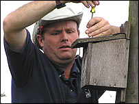Dave Waddington inspects a Tree Sparrow nest box