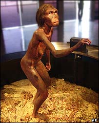 Modelo do hominídeo Lucy