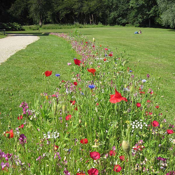 Grounds at Arundel Castle