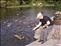 Relaxing & feeding the ducks at Cong (Quiet Man Country) in County Mayo