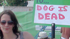 A Dog Is Dead fan