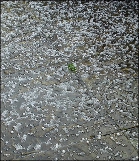 hailstones-020410-ianfergusson.jpg