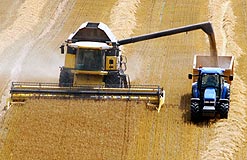 A combine harvester working in a field