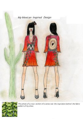 My Mexican inspired dress