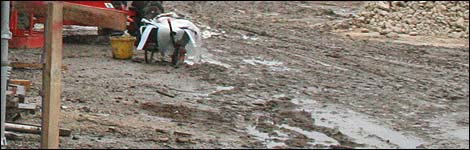 ecoDepot surrounded by mud