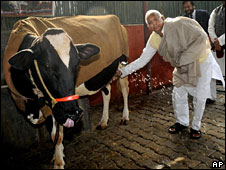 Laloo Prasad Yadav with one of his cows