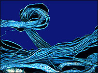 Forensic art/Seran Kubisa