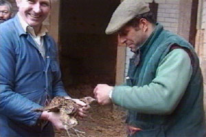 Mike packs up his birds
