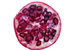 Pomegranate