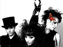 Rosie and the Goldbug