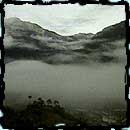 Right to participate in cultural life and to protect intellectual property rights