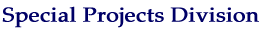 Special Projects Team