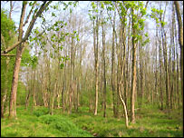 Moor Copse Nature Reserve