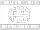 What Am I Like? The Personality Test