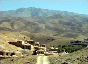چنار