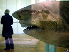 The Physical Impossibility Of Death In The Mind Of Someone Living