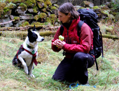 Search dog sitting beside its handler