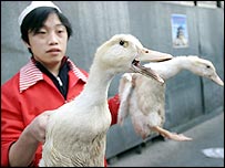 Patos na China