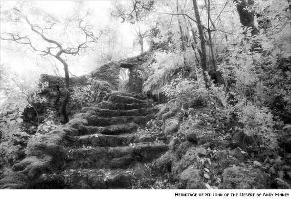 Infrared photograph by Andy Finney