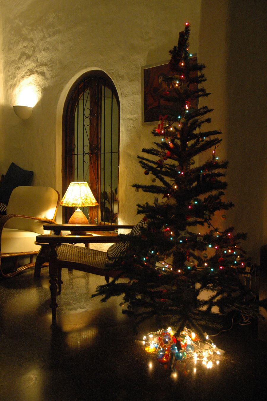 our tree