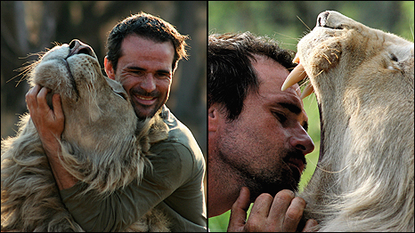 Kevin Richardson with a lion