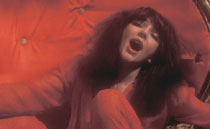 Kate Bush